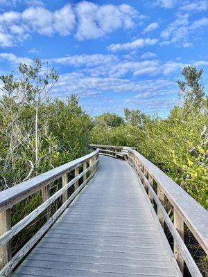 Bobcat trail