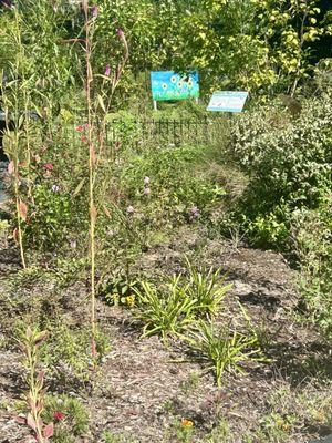 Gardens at Butterfly House