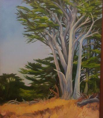 Laura Corben, Coast Cypress oil painting