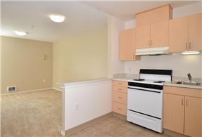 Kitchen and Living Room