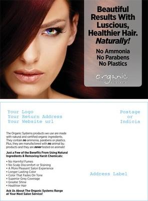 Organic Hair Color System