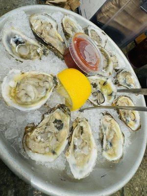 A dozen oysters for $20 for oyster happy hour