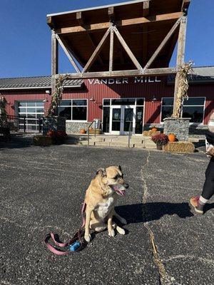 Dog friendly patio