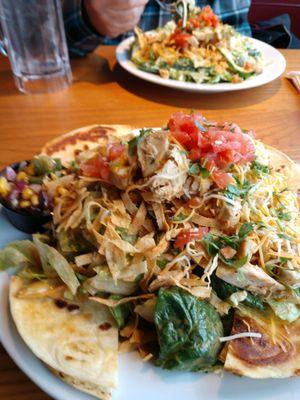 Chicken quesidillas salad