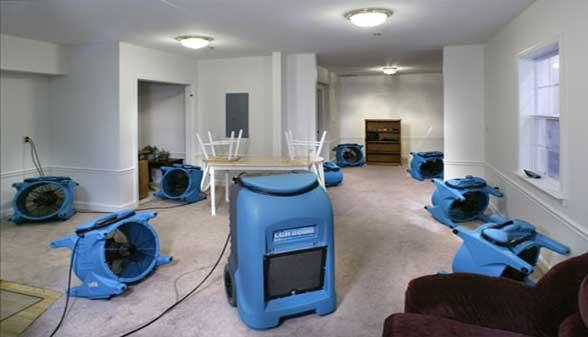 Carpet Cleaning