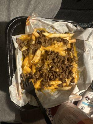 Carne asada fries tiny amount for 12 bucks