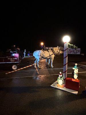 Horse carriage ride