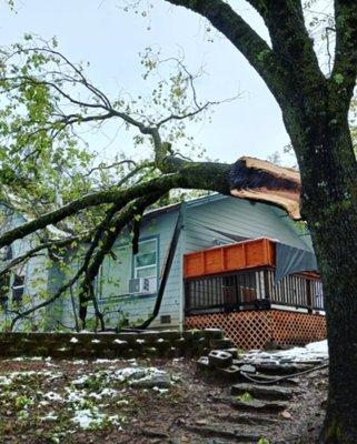 Tree fell onto primary suite