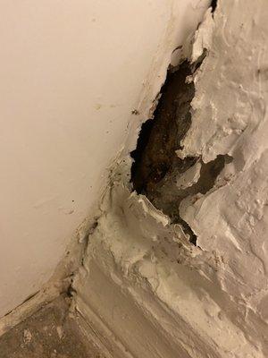 Mold , holes in wall from flood