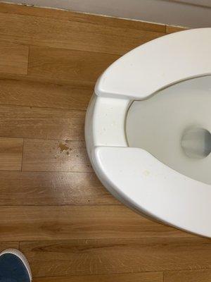 Urine on the seat and the floor upon arrival