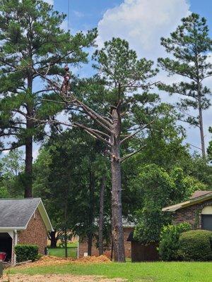 Gray Brothers Tree Service