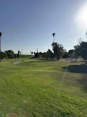 1st fairway! So green!