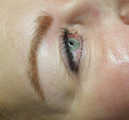 Healed Eyebrow Tattoo and Healed Upper and Lower Eyeliner Tattoo the Eyes by Rhonda way!