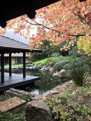 Autumn at the Golden Door