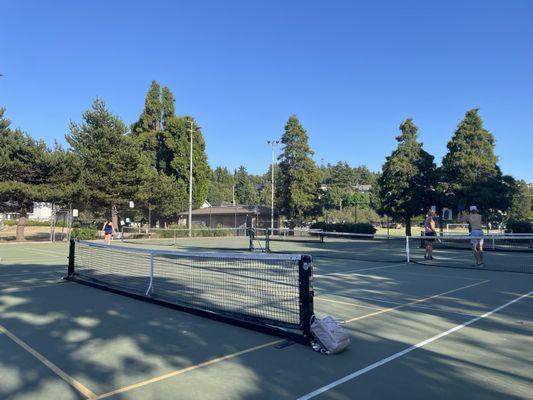 Pickleball courts