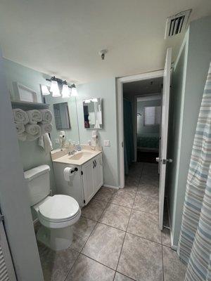 Master bathroom/shower stall