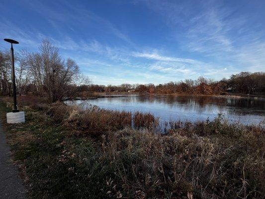 Thompson Park lake starting to freeze