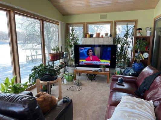 My sunroom with cacti and succulents. If you zoom in near the window, you can see some of them. I need help and Scott sounds like the guy.