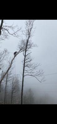 Power line clearance