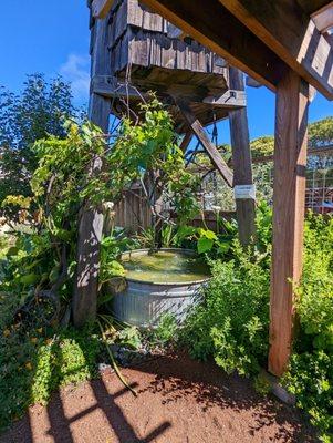 A lovely water feature which brings all the birds to the yard