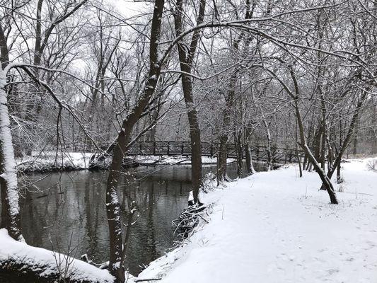 Along the yellow and tan trails