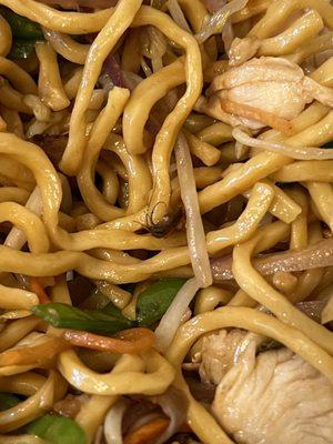 Bug in my lo mein