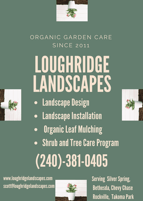 Loughridge Landscapes flyer