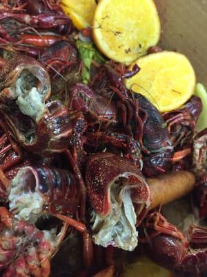 THE WORST LIVE CRAWFISH EVER!! ROTTEN