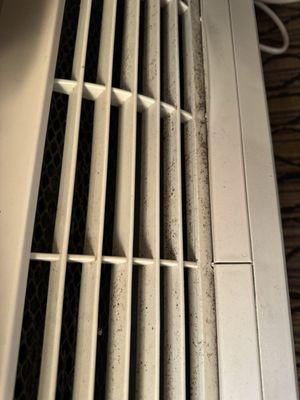 Mold and dirt in the ac vent