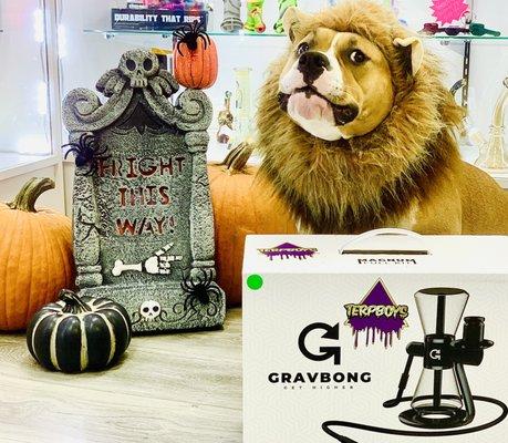 Tula with a Gravity infuser Halloween Giveaway