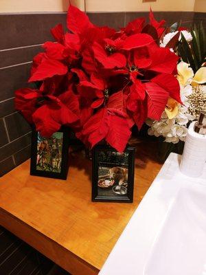 Winter poinsettias in the ladies room for Christmas!