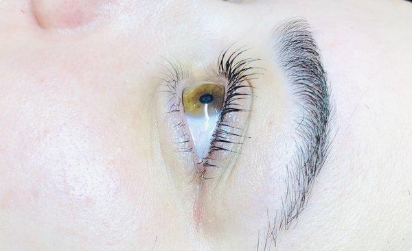 Another look what what lash lifts do!