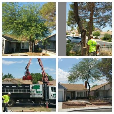 Jefferybrandz house,before and after. Job well done.