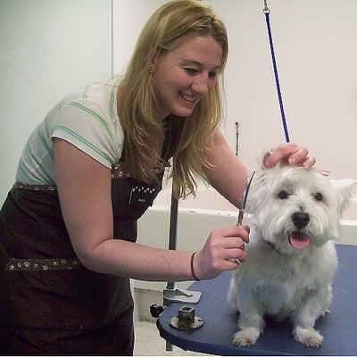 We offer boarding & grooming for dogs & cats.