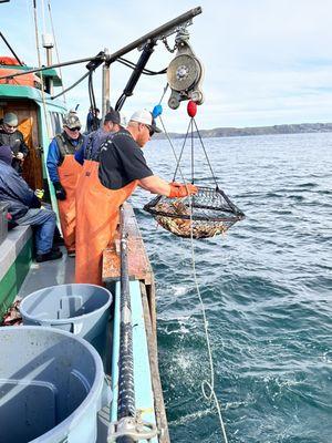 More crab pot hauling