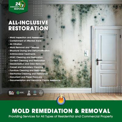 Mold Remediation and Removal