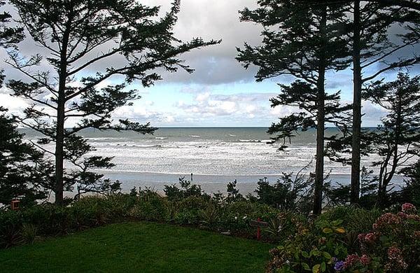 View from the dining room