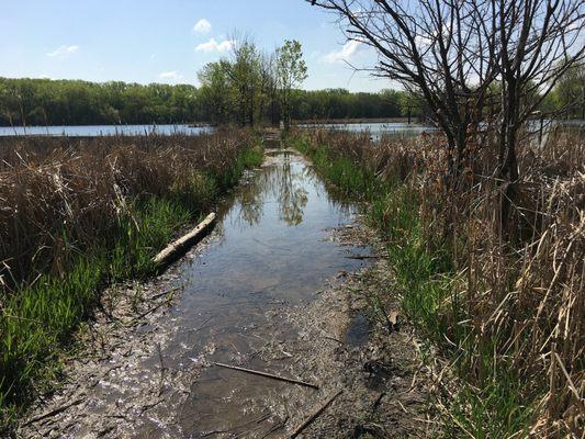 Flooded trail.