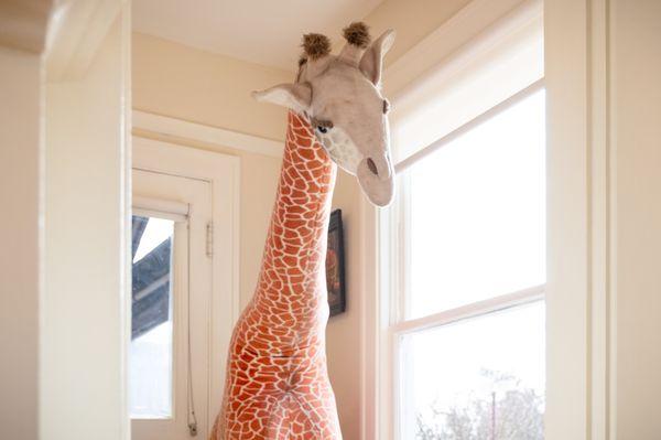 Come say hi to our beloved giraffe who's back from vacation!