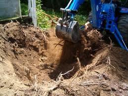 Tree Service, Stump Grinding, Stump Removal, Tree Trimming, Tree Cutting