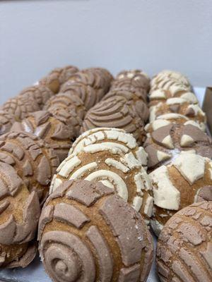 Fresh Conchas baked daily.