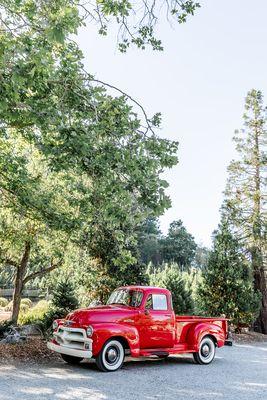 Photo ops with "Betty"...the 1955 Chevy truck!