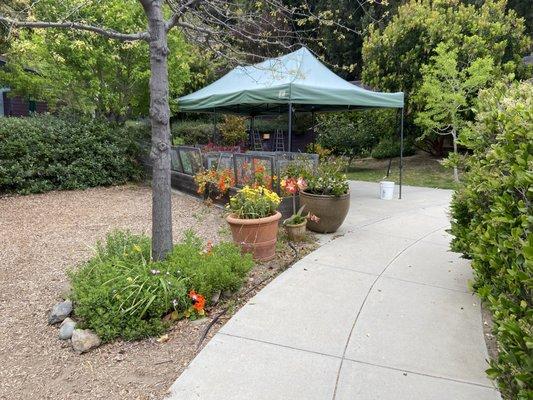 Springtime Garden maintained by Nursery and Kindergarten students and teachers.