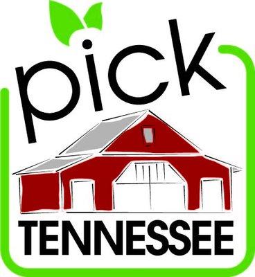 We grow exclusively in Tennessee!