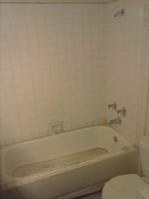 Tub-to-Shower Conversion "Before"