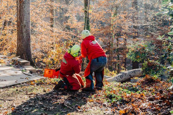 Rigging the next branch to make sure it lands in just the right spot on the customer's property.