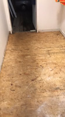 New plywood down ready for the flooring