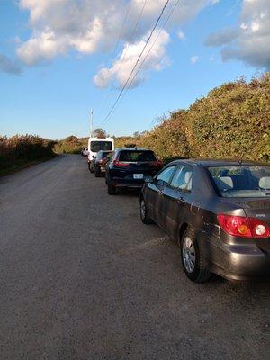 Parking for the beach!