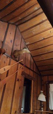 Wooded ceiling/walls and log beams