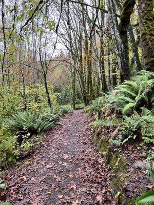 Newell Creek Canyon Nature Park